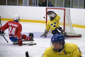 Landskamp i kälkhockey